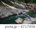 大歩危峡に泳ぐ鯉のぼり（徳島県吉野川）