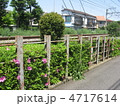 ツツジ咲く鉄道沿線