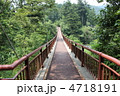 秋川渓谷 石舟橋