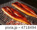 鰻の蒲焼