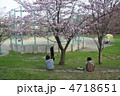 円山公園の桜