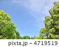 新緑