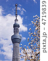 東京スカイツリーと白色の花のコブシと青空