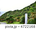 都井岬のソテツ自生地
