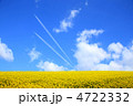 菜の花畑と飛行機雲
