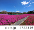 富士山と芝桜