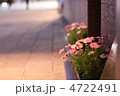 道端のピンクの花