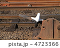 ポイント転轍機