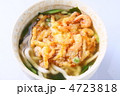 海老かき揚げうどん