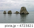 沖の白石