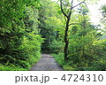 新緑の山道