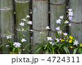 竹と花