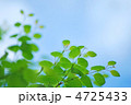 新緑