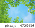 枠イメージ