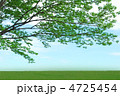 新緑