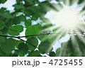 紫外線