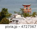 宮島