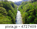 新緑の広瀬川