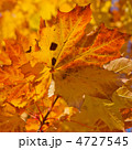 4727545