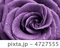 4727555