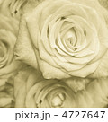 4727647