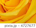 4727677