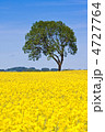 4727764