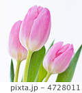 4728011