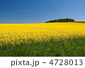 4728013