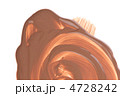 4728242