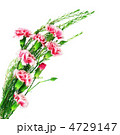 4729147