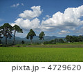 夏の八ヶ岳山麓