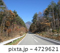 山へと続く道