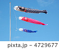 こいのぼり