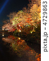 紅葉の映り込み