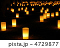 奈良燈花会