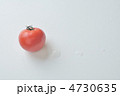 トマトの足あと