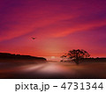 日の出