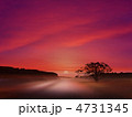 日の出 日の出