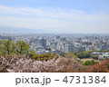 松山市街なみ