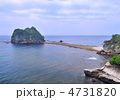 西伊豆堂ヶ島海岸-18522