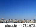 スカイツリーと富士山と青空と東京