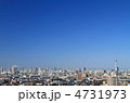 スカイツリーと富士山と青空と東京