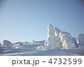 樹氷