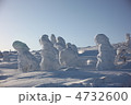 樹氷