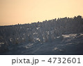 樹氷原の夜明け