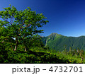 青空　北岳