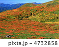 栗駒山（須川岳）綾羅錦繍