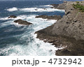 石廊崎の岸壁
