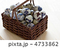 うずらのたまご うずらのたまご